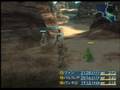 FFXII: On the way to the Cacti