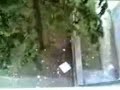 � stato accertato scientificmente dopo studi appropriati e approfonditi sulla materia che.. ebbene si! i banchini volano..