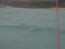 videos voile