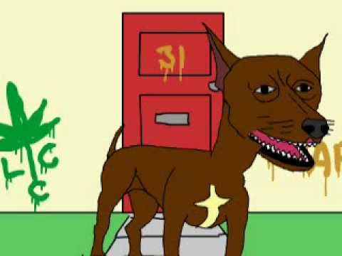 pitbull i doberman