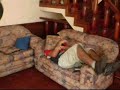 Estupideces en Chaclacayo
