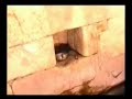 Ormans?rt? C�c�gen K�y� - Arapgir