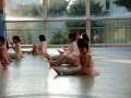 videos de 20090108 077