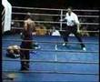 LMA Kickboxing