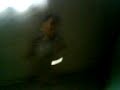 gallito bailarin