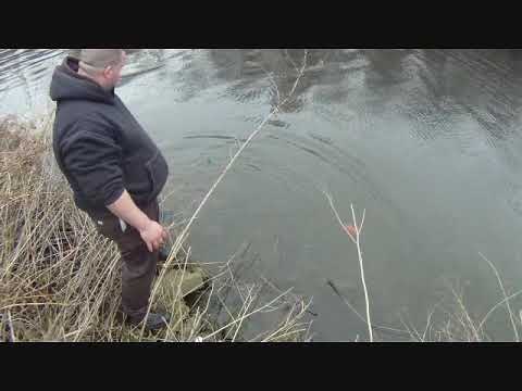 The GEO Report: February 15, 2012 Chicago River North Branch Common Carp Winter Sport Fishing_A h�ten felt�lt�tt legjobb horg�sz vide�k