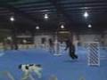 jester jww at 06 national
