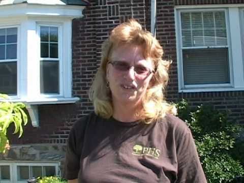 how to decide where to plant trees in yard