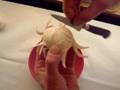 Champignons tournés