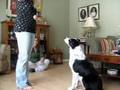 The Attention Game (Part Two)