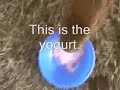 Caplin Rous in I Like Blueberry Yogurt!