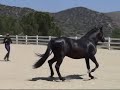 Zorin