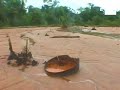la actriz daryl hannah protesta contra contaminación en amazonas