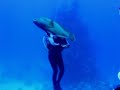DIVE Wadi Lahami South Egypt HIGHLIGHTS DIVE Wadi Lahami South Egypt HIGHLIGHTS