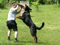 BEAUCERON