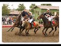 horse ball