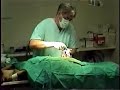 WARNING-ACTUAL C-SECTION SURGERY-BULLMASTIFF BABIES PT. 3