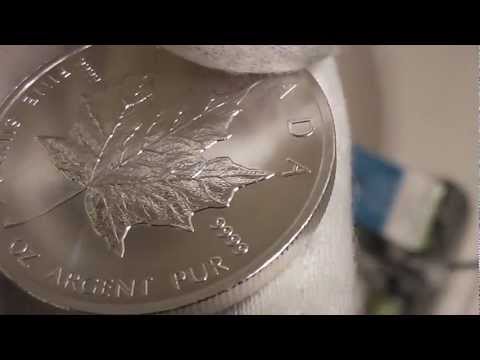 2013 Royal Canadian Mint Maple Leaf 1 Ounce Silver Coin Review