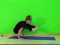Advanced Arm Balance Yoga Poses : Advanced Flying Insect Pose Arm Balances in Advanced Yoga
