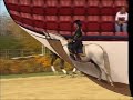 pk o cavalo nao é um simples animal