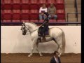 pk o cavalo nao é um simples animal