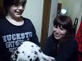 Pantera es acosada por Gabo (L)