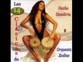 Ver Video