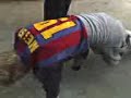 unu da cu mana si indoaie tabla