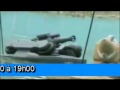Voir la Vidéo