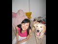Dino the Golden Retriever - Precious Moments - Part Two