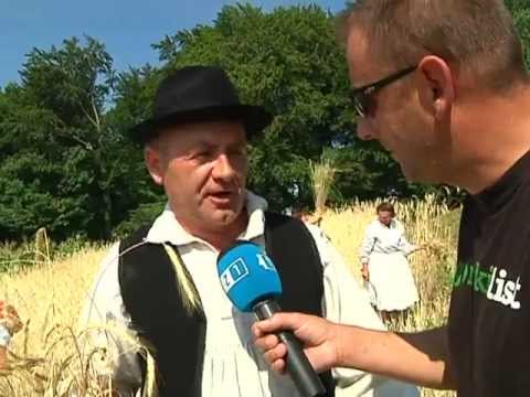 Zagorski magazin - Žetva (od zrna do krova) 