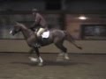 videos de Top Gun V Practice Show in Holland