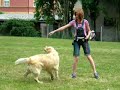 tanec se psem - Holice