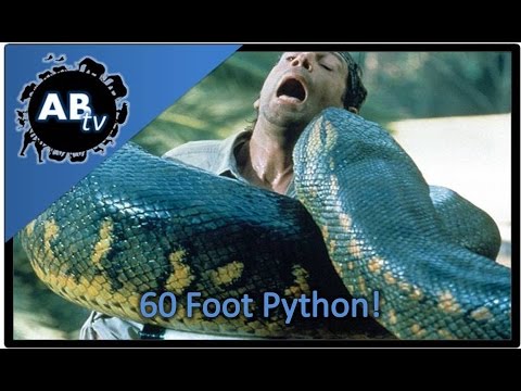 YouTube reptile video