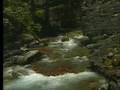 videos de NWA EP#13 Glacier National Park Pt.01