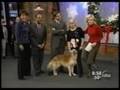 Carolyn Scott & Golden Rookie: A 15 Year Partnership