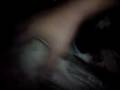 videos de lasing na nman c bruce!