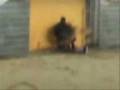 Video Report Uscita Sottomarina Lido di Chioggia del 28-11-2008