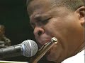 jimmy bosch vengo a cantar