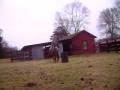 videos de Bridless riding by Jeri