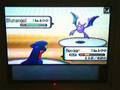 Pokemon Battle #73 MTGXerxes vs TSP