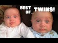 Best of Twin Babies! Best of Twin Babies!