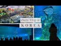 Lotte World Aquarium Vs Coex Aquarium