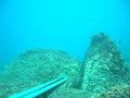 Pesca Apnea - Sarago all\ Pesca Apnea - Sarago all\