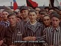 Jugoslovenska - Partizanska zastava u Dahau - 1945 sa zastavama slobode Evrope