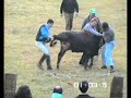rodeo you rodeo you
