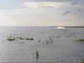 Exiter on water