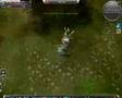 Cabal Online Force Blader