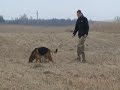 Lord Vilkiukstis IPO-1 (a) training