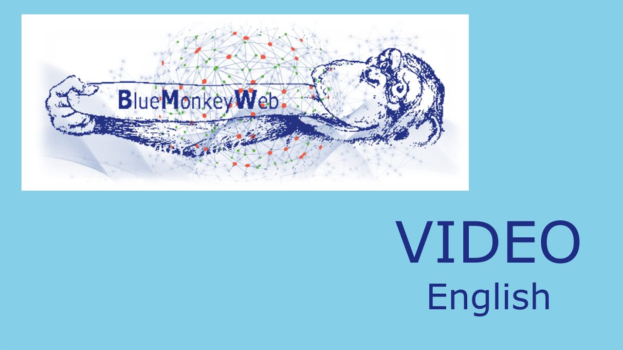 BlueMonkeyWeb video 2020 en